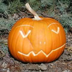 Simple, Nipomo Pumpkin Patch best carving idea